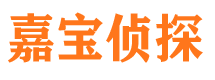 武宁市侦探调查公司